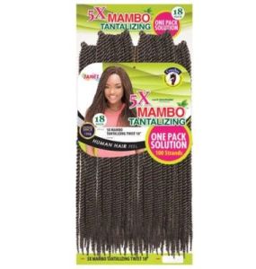 Janet Collection 5X Mambo Tantalizing Twist Braid 18 Color (1 Pack Solution)